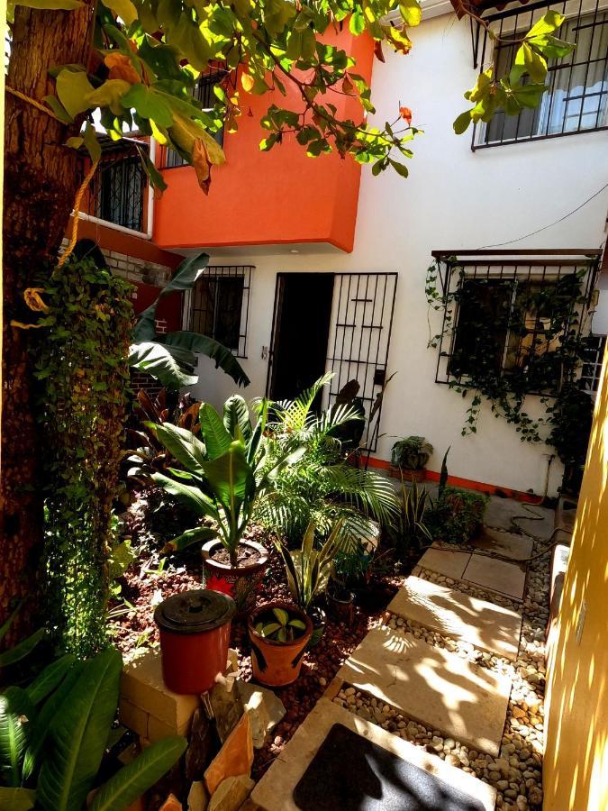 Apartmán Casa Lomas Del Marinero Internet Starlink Sin Garaje Puerto Escondido  Exteriér fotografie