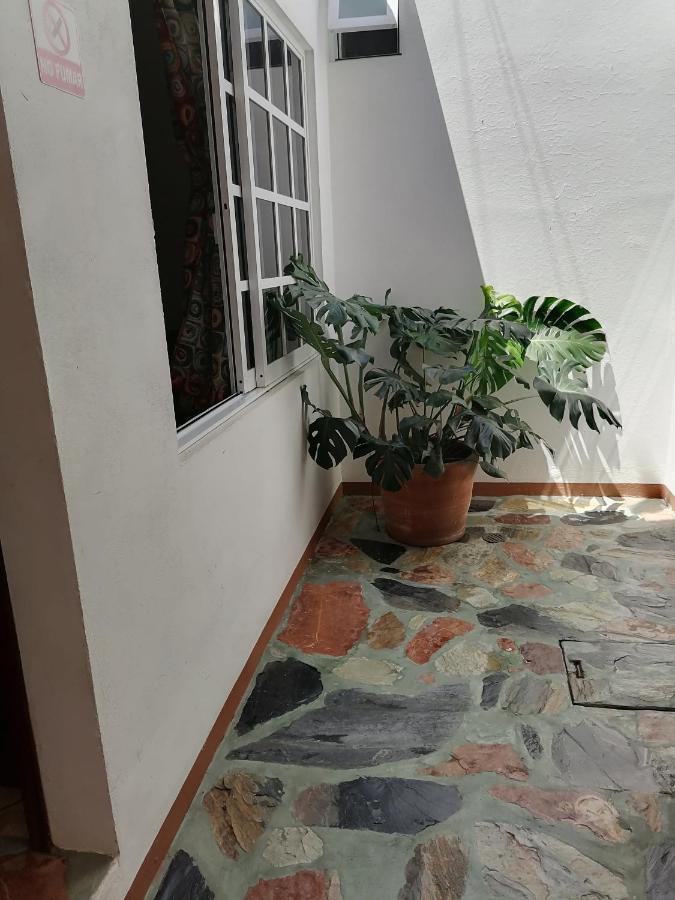 Apartmán Casa Lomas Del Marinero Internet Starlink Sin Garaje Puerto Escondido  Exteriér fotografie