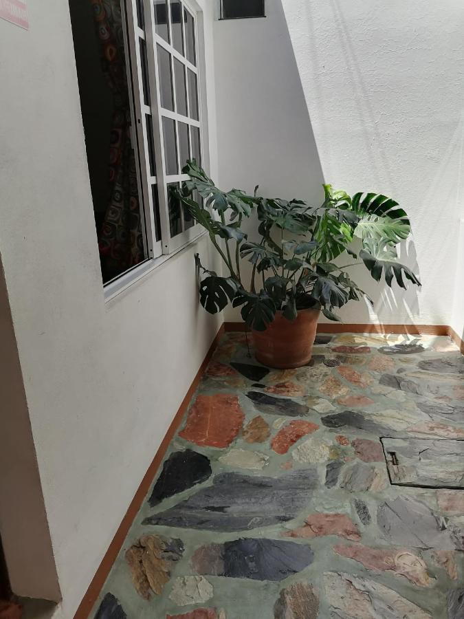 Apartmán Casa Lomas Del Marinero Internet Starlink Sin Garaje Puerto Escondido  Exteriér fotografie