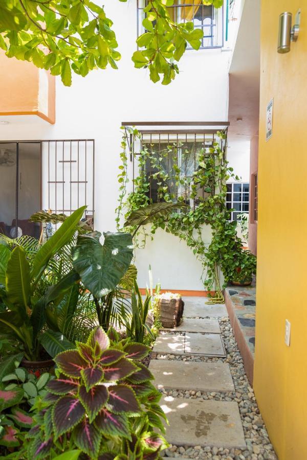Apartmán Casa Lomas Del Marinero Internet Starlink Sin Garaje Puerto Escondido  Exteriér fotografie