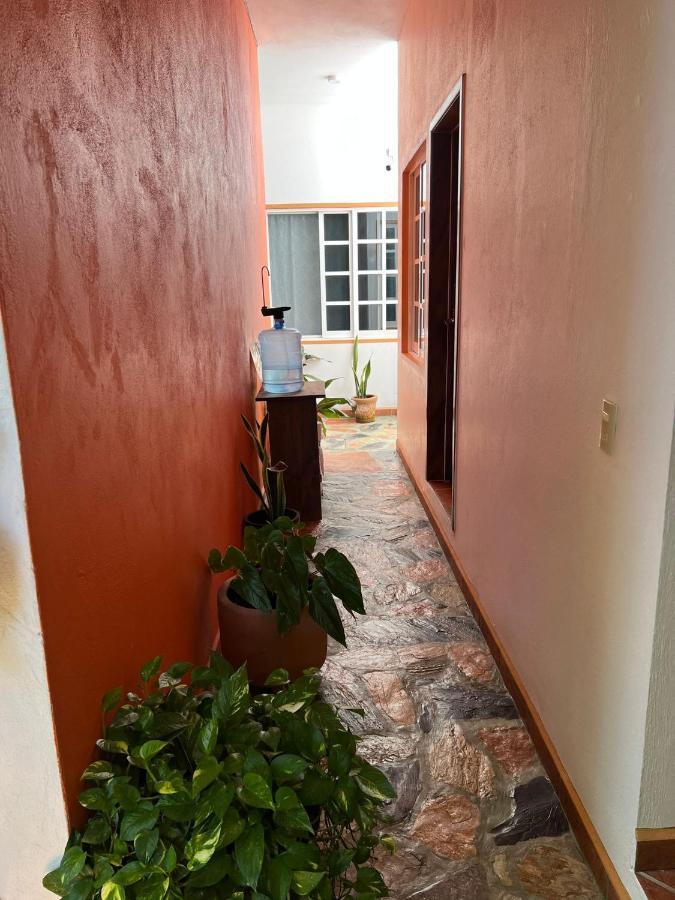 Apartmán Casa Lomas Del Marinero Internet Starlink Sin Garaje Puerto Escondido  Exteriér fotografie