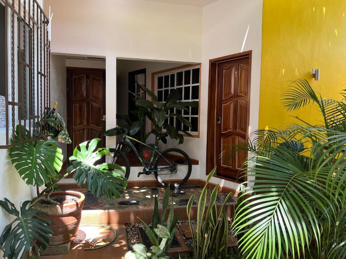 Apartmán Casa Lomas Del Marinero Internet Starlink Sin Garaje Puerto Escondido  Exteriér fotografie